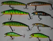 Review of the best wobblers for pike