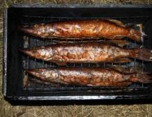 How to make hot smoked fish