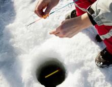 معالجة لصيد الروتان في الشتاء