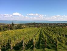 Madžarska, Balaton: cene, ocene Blatno jezero poudarek