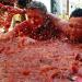 Tomatina Festival in Spain - all tomatoes in one Buñol Rules for participation in La Tomatina