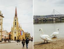 Novi Sad Sightseeing-ning diqqatga sazovor joylari bo'ylab sayohat Belgradning avtomashinali yurishi