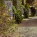 Путевые заметки: Фуншал, Тропический сад на горе Монте