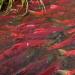 Nerka is coming.  Sockeye fish.  Useful properties of sockeye salmon