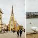 Novi Sad Sightseeing-ning diqqatga sazovor joylari bo'ylab sayohat Belgradning avtomashinali yurishi